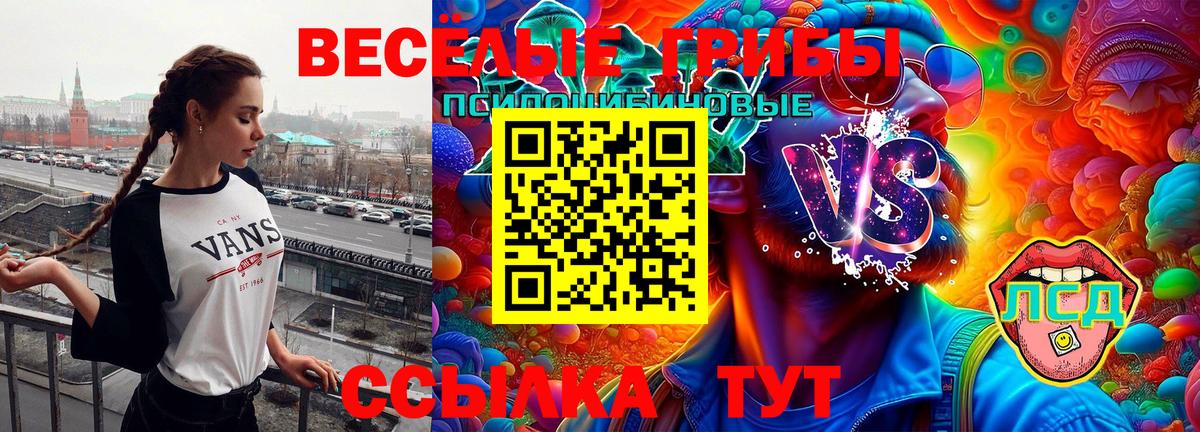 продажа наркотиков  Вход с VPN  Тобольск  Псилоцибиновые грибы Cubensis  Галлюциногенные грибы Psilocybe 