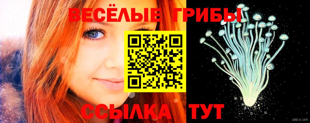 Галлюциногенные грибы Cubensis Тобольск